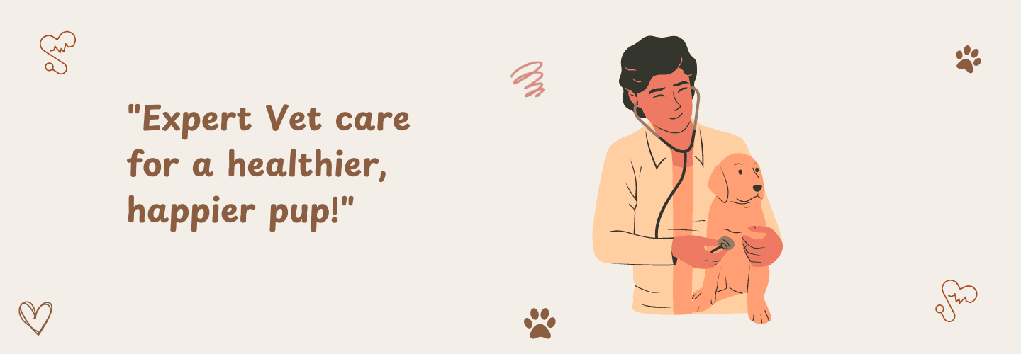 vetcare banner