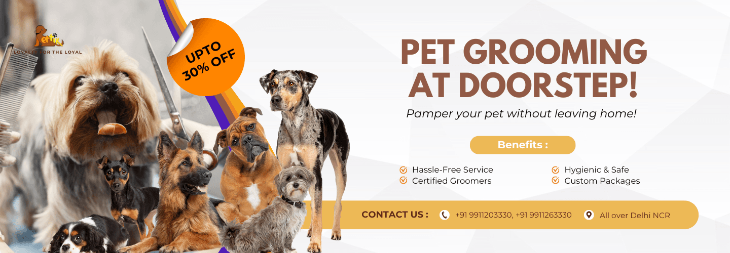 grooming banner